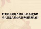 欧风幼儿园是几级幼儿园介绍(欧风幼儿园是几级幼儿园详细情况如何)