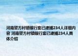河南警方村镇银行案已逮捕234人详细内容 河南警方村镇银行案已逮捕234人具体介绍
