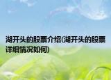 湖开头的股票介绍(湖开头的股票详细情况如何)