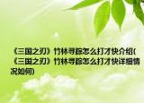 《三国之刃》竹林寻踪怎么打才快介绍(《三国之刃》竹林寻踪怎么打才快详细情况如何)