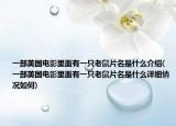 一部美国电影里面有一只老鼠片名是什么介绍(一部美国电影里面有一只老鼠片名是什么详细情况如何)