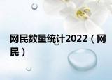 网民数量统计2022（网民）