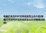 电脑打不开PDF文件应该怎么办介绍(电脑打不开PDF文件应该怎么办详细情况如何)