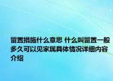 留置措施什么意思 什么叫留置一般多久可以见家属具体情况详细内容介绍