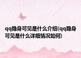 qq隐身可见是什么介绍(qq隐身可见是什么详细情况如何)