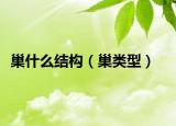 巢什么结构（巢类型）
