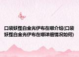 口袋妖怪白金光伊布在哪介绍(口袋妖怪白金光伊布在哪详细情况如何)