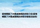 爱情睡醒了26集戚薇戴的项链介绍(爱情睡醒了26集戚薇戴的项链详细情况如何)