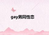 gay男同性恋