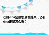 乙肝dna定量怎么看结果（乙肝dna定量怎么看）