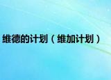 维德的计划（维加计划）