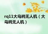 rq11大乌鸦无人机（大乌鸦无人机）