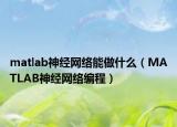 matlab神经网络能做什么（MATLAB神经网络编程）