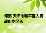 何鹏 天津市和平区人民政府副区长