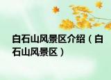 白石山风景区介绍（白石山风景区）