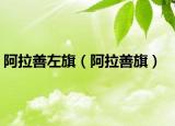 阿拉善左旗（阿拉善旗）