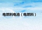 电燃料电池（电燃料）