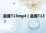 蓝魔T13mp4（蓝魔T13）