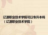 辽源职业技术学院可以专升本吗（辽源职业技术学院）