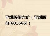 平煤股份六矿（平煤股份[601666]）