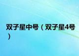 双子星中号（双子星4号）