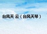 台风天 云（台风天琴）
