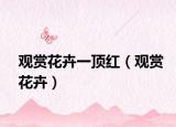 观赏花卉一顶红（观赏花卉）