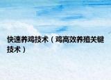 快速养鸡技术（鸡高效养殖关键技术）