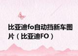 比亚迪fo自动挡新车图片（比亚迪FO）