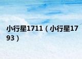 小行星1711（小行星1793）