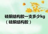硅酮结构胶一支多少kg（硅酮结构胶）