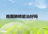晚期肺癌能治好吗