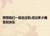 想想我们一起走过的,经过多少痛苦和快乐