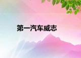 第一汽车威志