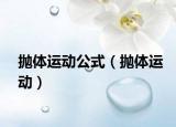 抛体运动公式（抛体运动）