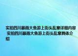 实拍四川暴雨大鱼游上街头乱窜详细内容 实拍四川暴雨大鱼游上街头乱窜具体介绍