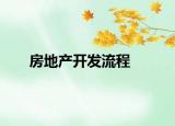 房地产开发流程