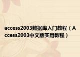access2003数据库入门教程（Access2003中文版实用教程）