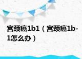 宫颈癌1b1（宫颈癌1b-1怎么办）