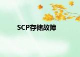 SCP存储故障