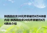陕西回应卖20元芹菜被罚6万6详细内容 陕西回应卖20元芹菜被罚6万6具体介绍