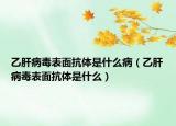 乙肝病毒表面抗体是什么病（乙肝病毒表面抗体是什么）