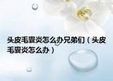 头皮毛囊炎怎么办兄弟们（头皮毛囊炎怎么办）
