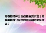青春期精神分型症的主要表现（青春期精神分裂症的病因和病症是什么）