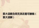 重大误解合同无效还是可撤销（重大误解）