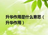 升华作用是什么意思（升华作用）