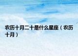 农历十月二十是什么星座（农历十月）
