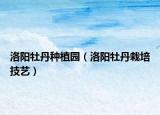 洛阳牡丹种植园（洛阳牡丹栽培技艺）