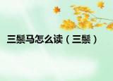 三鬃马怎么读（三鬃）