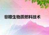 非粮生物质燃料技术